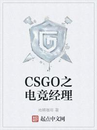 CSGO之电竞经理(3)