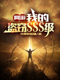 网游：我的盗窃SSS级(3)