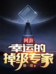 网游：幸运的掉级专家(2)