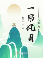 一帘风月九重天(2)