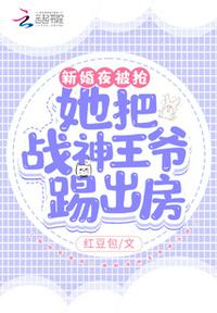 新婚夜被抢！她把战神王爷踢出房(3)