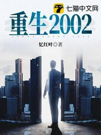 重生2002(2)