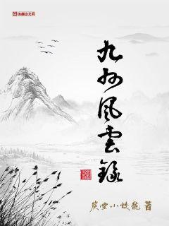 九州风云录(3)