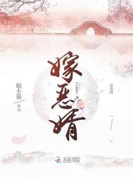 嫁恶婿(2)