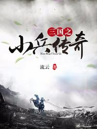 三国之小兵传奇(2)