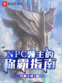 NPC领主的称霸指南(4)