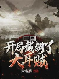 三国：开局截胡了大耳贼(3)