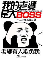 我的老婆是大BOSS(2)