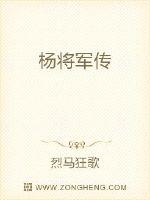 杨将军传(3)