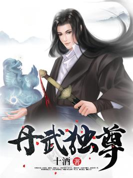 丹武独尊(3)