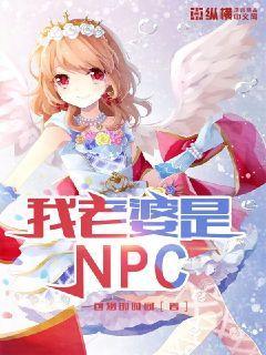 我老婆是NPC(3)