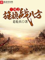 三国之旌旗战八方(3)