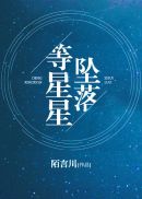 等星星坠落(3)