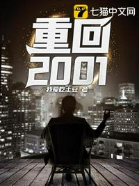 重回2001(3)