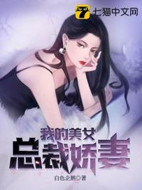 我的美女总裁娇妻(2)