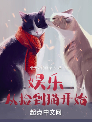 娱乐从捡到猫开始(3)