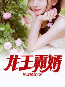 龙王霸婿(2)