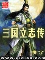 三国立志传(2)