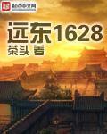 远东1628(2)