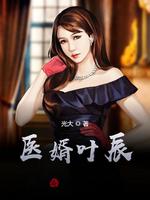 医婿叶辰(2)