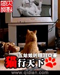 猫行天下(2)