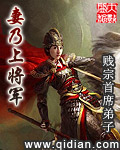 妻乃上将军(3)